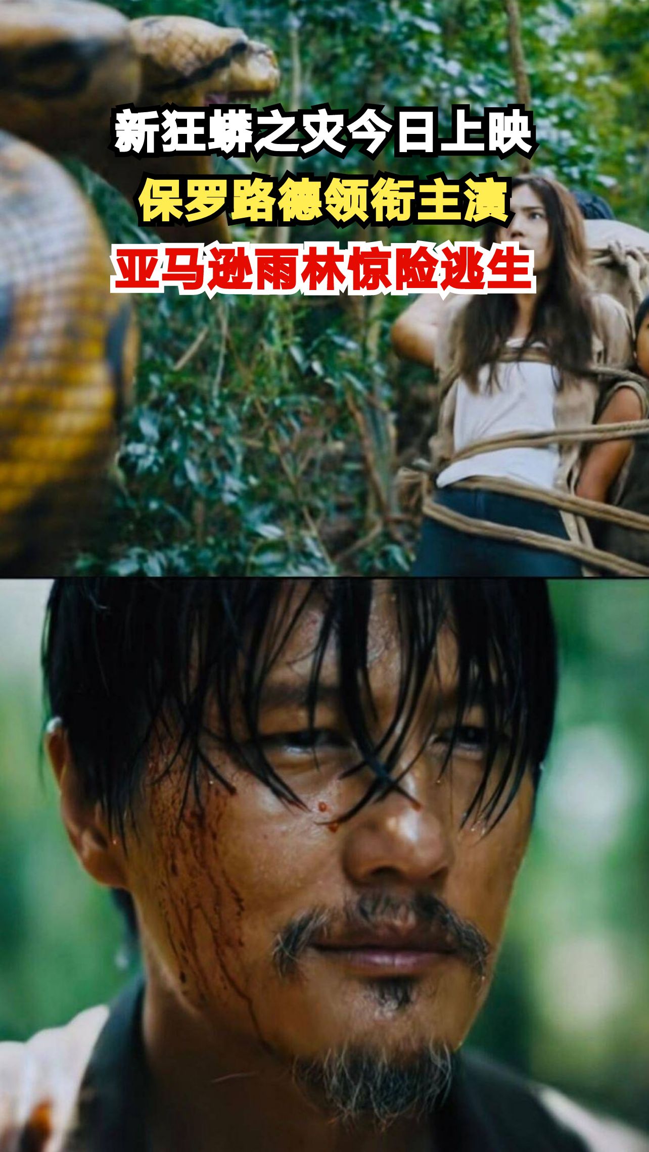 时隔16年狂蟒系列重启,蚁人保罗路德深入亚马逊雨林遭遇真巨蟒