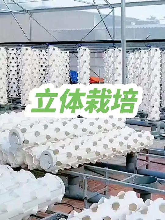 智能温室立体蔬菜种植方式的优点主要包括高效利用空间、精确控制环境和有效防控病虫害。通过立体