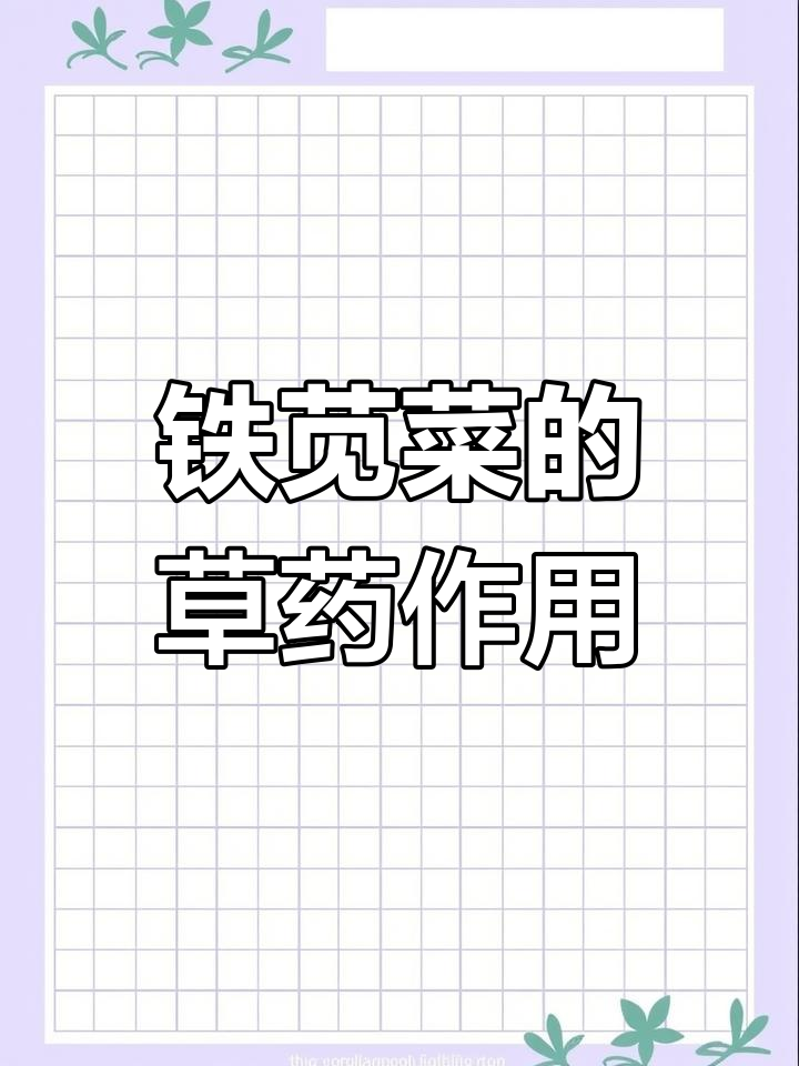 铁苋菜:田间常见却有药用价值,你了解吗?