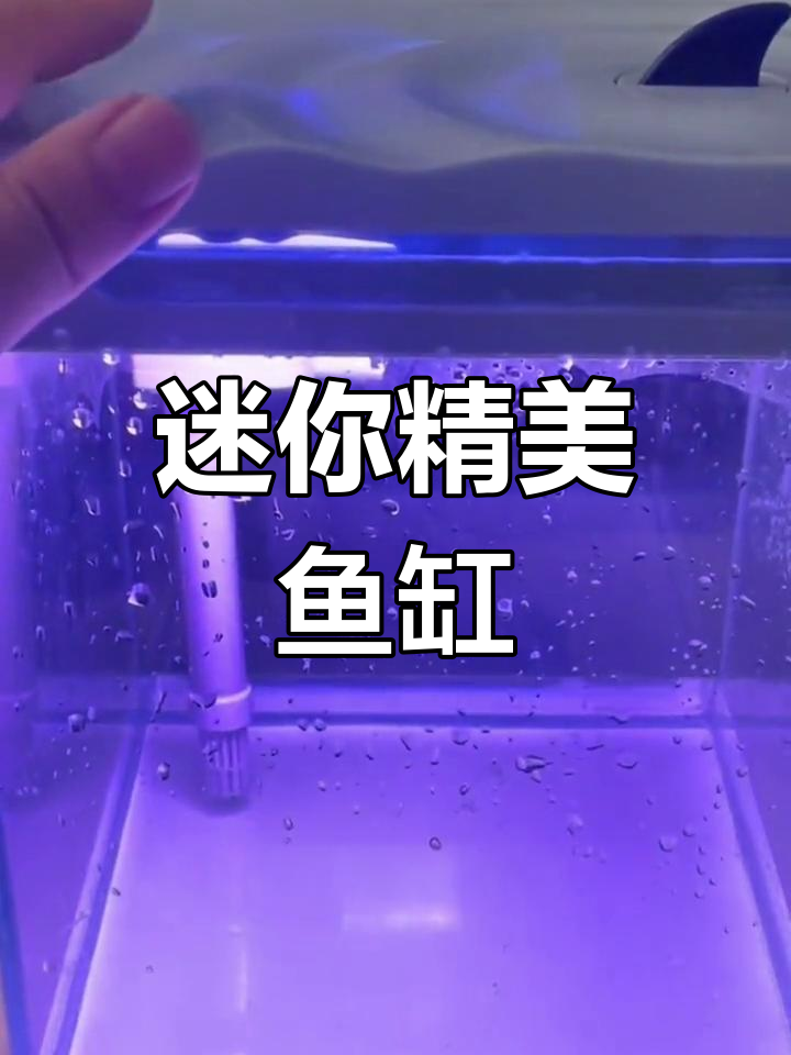 小巧精致鱼缸,超白玻璃桌面,适合斗鱼或金鱼