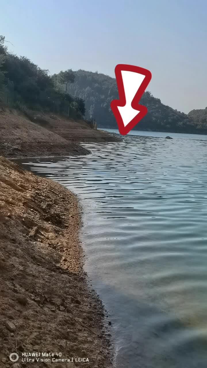 这不是坎边么?难道我窝位置打错了,两天才来一个小草鱼 非禁钓区域 野外垂钓 真实户外