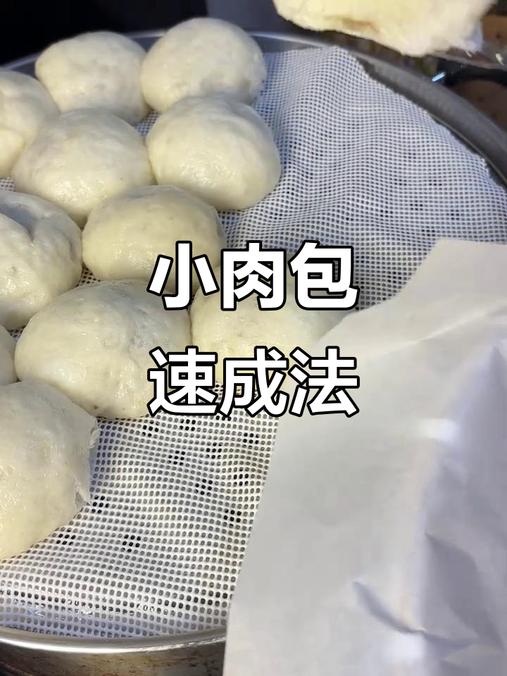 无需揉面，轻松做小肉包！冷冻后口感更佳