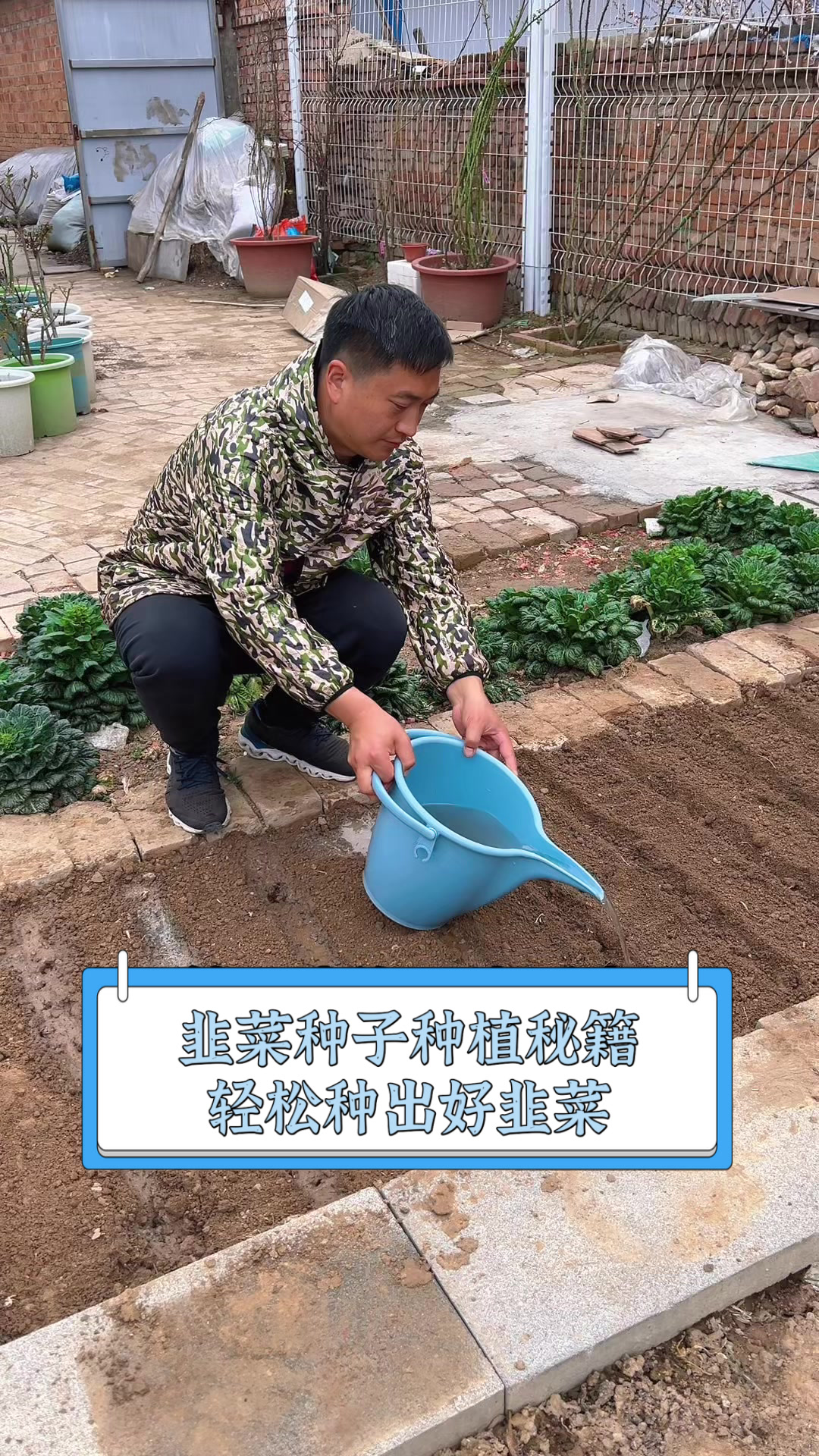 韭菜种子种植秘籍,轻松种出好韭菜