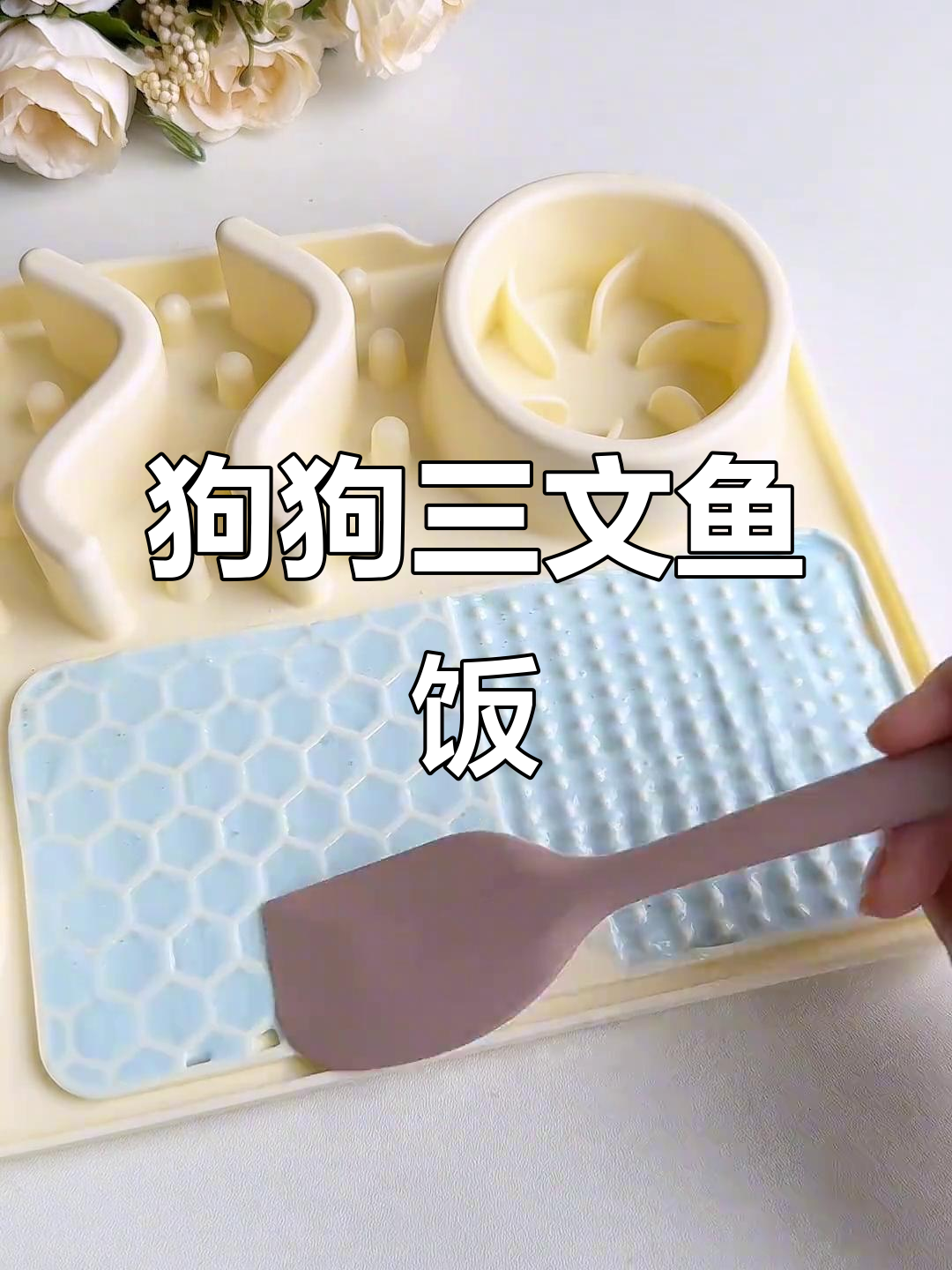 小狗的三文鱼刺身大餐,香甜酸奶碗让人流连忘返