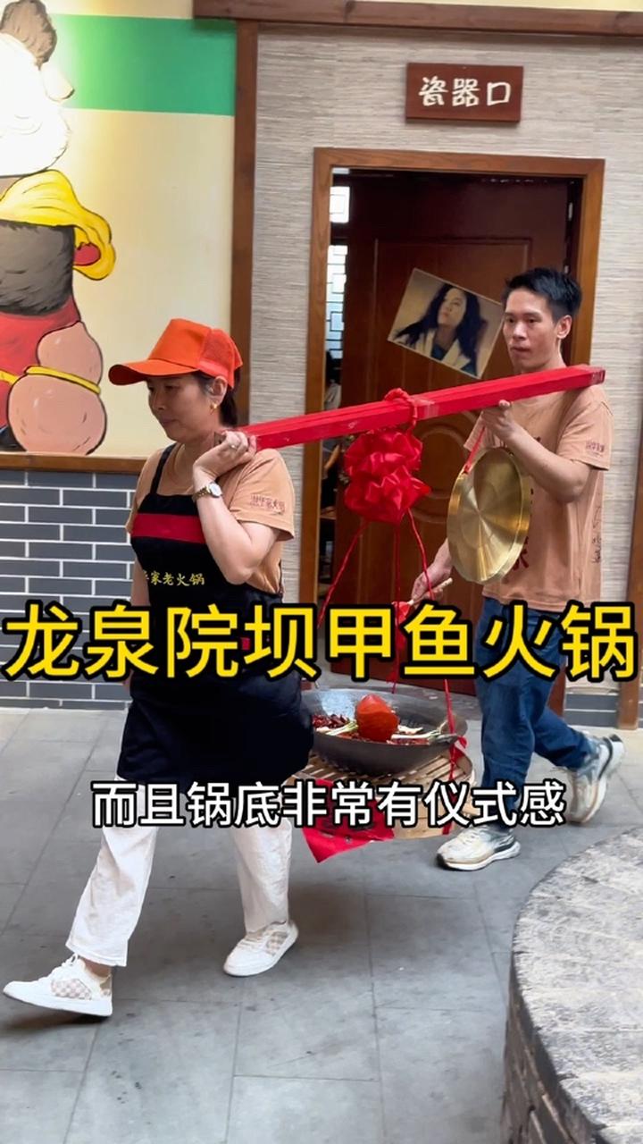 成都龙泉藏在院坝里的甲鱼火锅,品质不错!成都美食探店