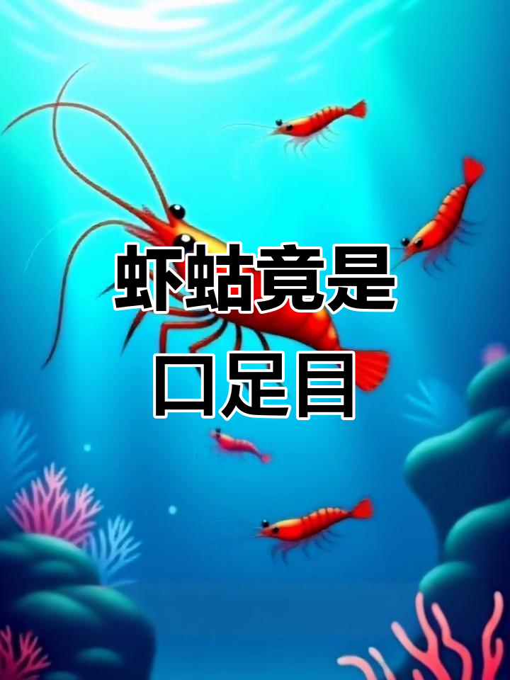 虾蛄不是虾?揭秘这种奇特海鲜的真相