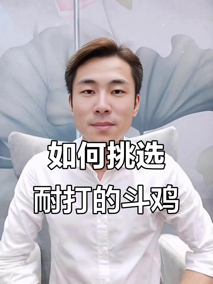 斗鸡技巧揭秘:如何判断抗打度与腿重,避免盲目选择