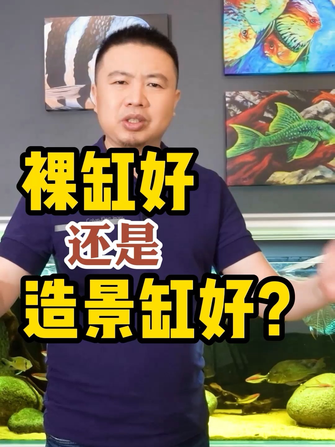 养鱼用裸缸好,还是做个生态造景缸好?