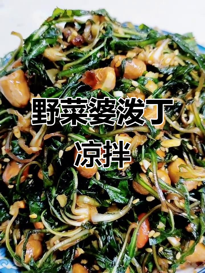 纯野生婆婆丁凉拌,简单又美味!