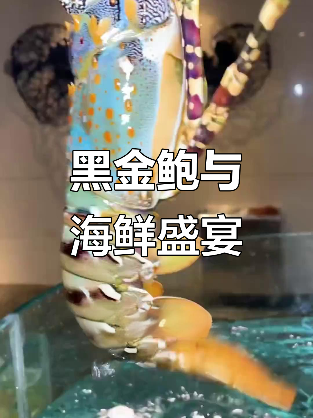 成都环球中心黑金鲍,超大龙虾帝王蟹全体验
