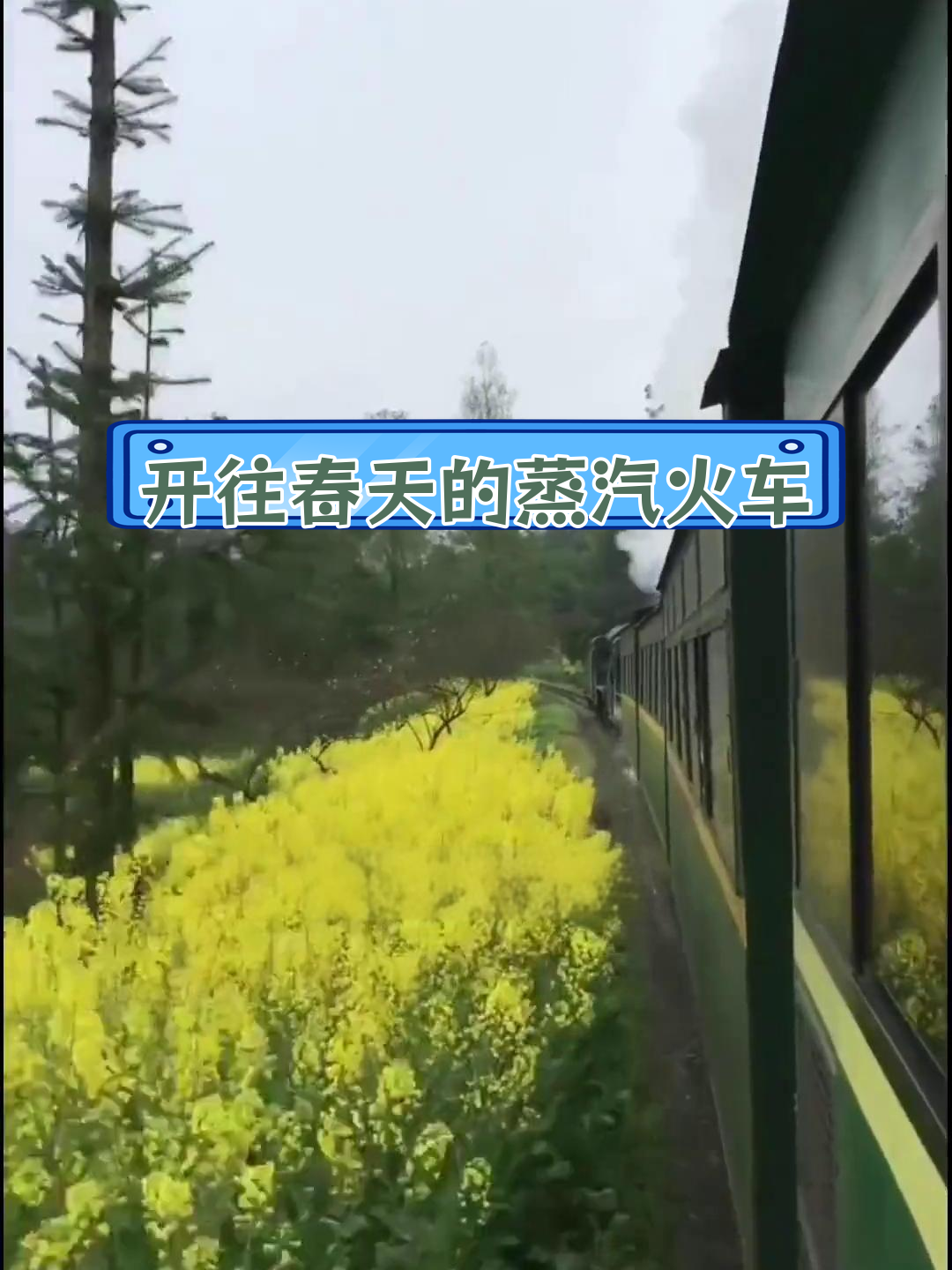 乐山犍为:穿越春天的蒸汽小火车之旅