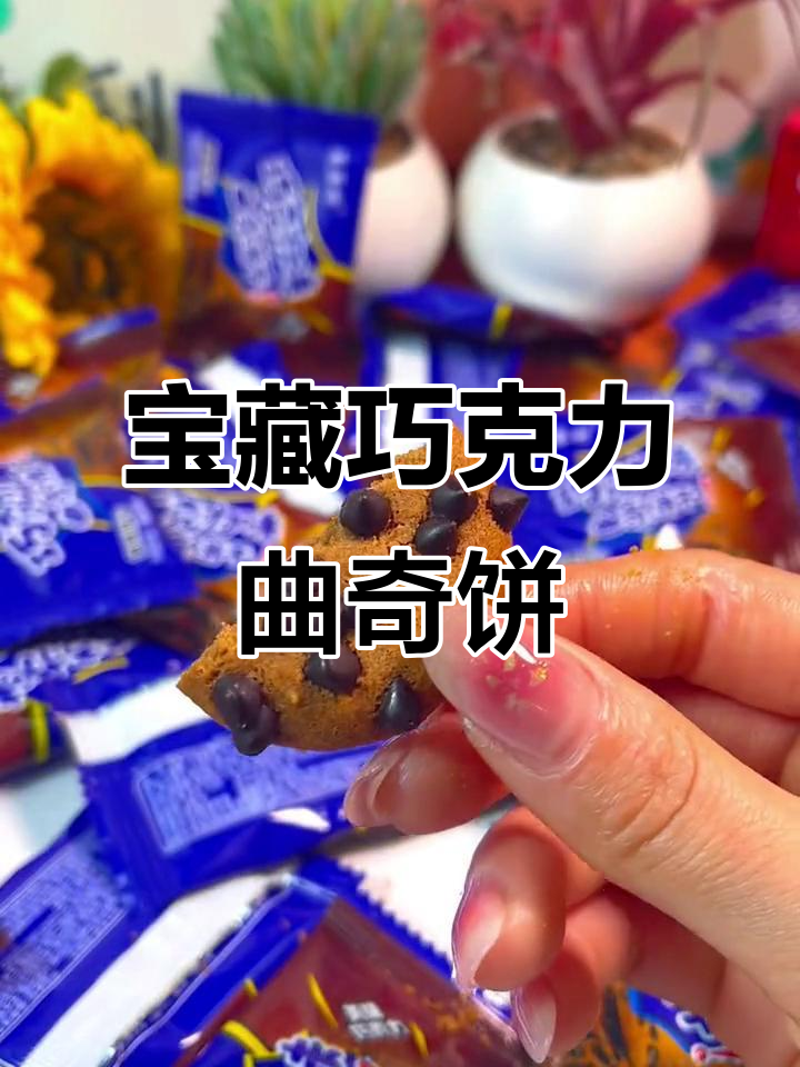 巧克力豆曲奇饼干,奶香浓郁酥脆可口,一口接一口停不下来