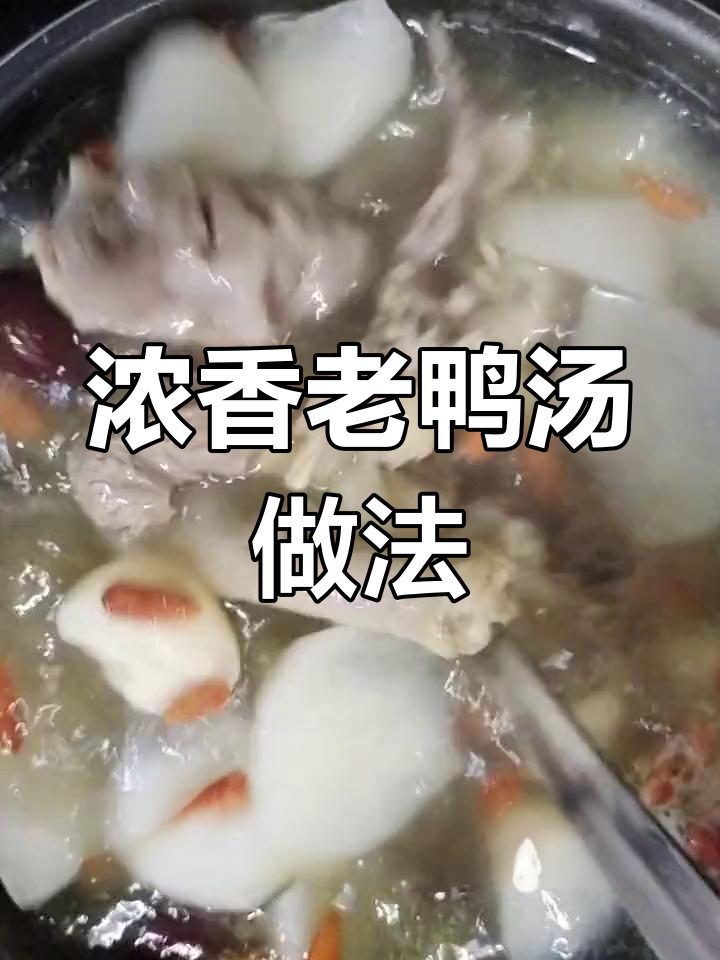 老鸭汤煲出醇香,肉质鲜嫩秘诀大公开