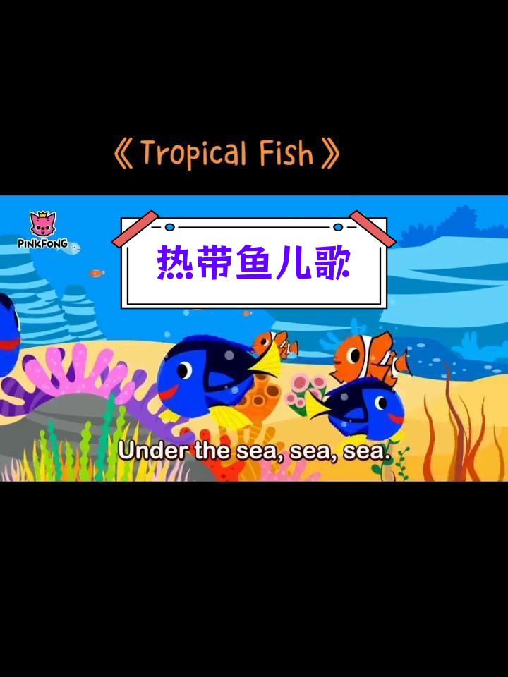 热带鱼儿歌动画,轻松学英语