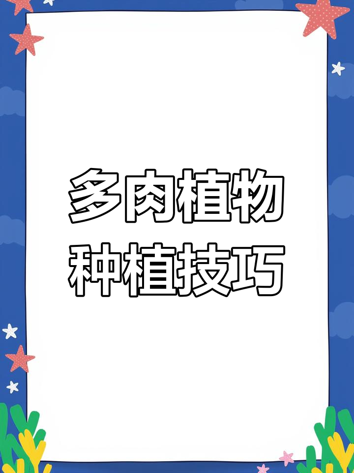 网购多肉植物如何正确栽种?教你一步步操作