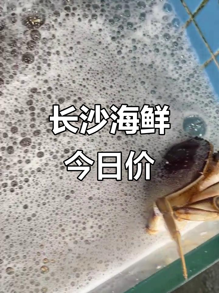 11月15日长沙海鲜市场行情,宝鱼、大肉蟹等价格一览