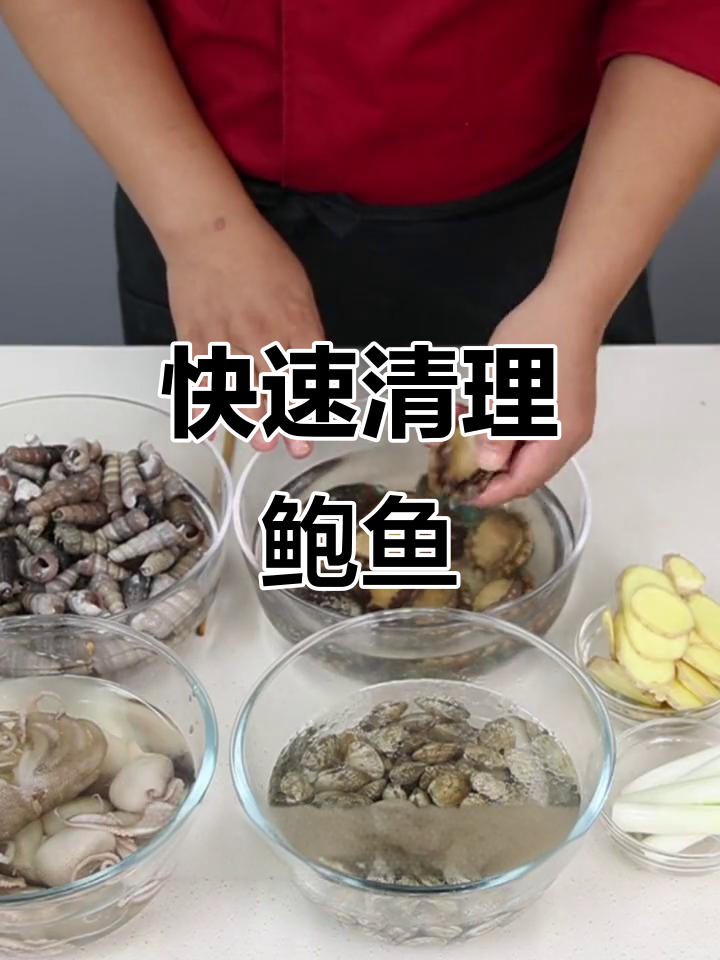 鲍鱼清洗技巧大揭秘，轻松去内脏，做出完美小海鲜