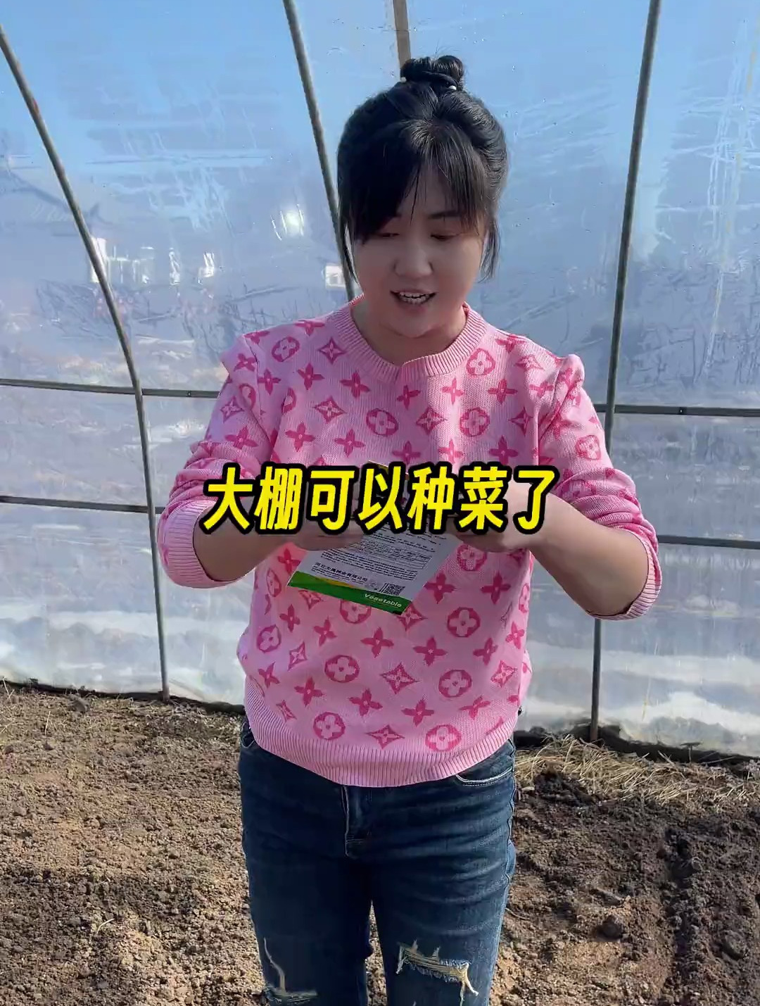天气暖和了,大棚里可以种上小菜了