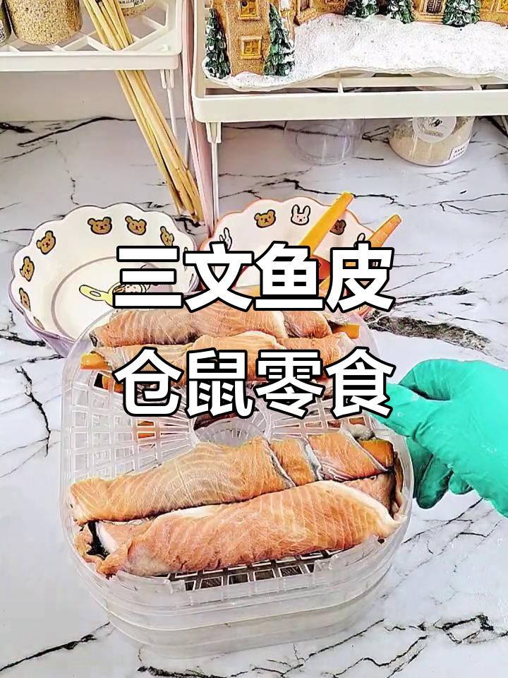 用三文鱼皮做仓鼠寿司，简单又营养