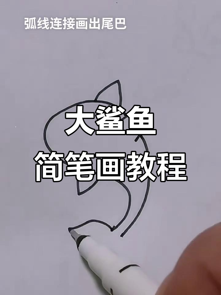 轻松学画大鲨鱼，简单步骤教你画出可爱海洋生物