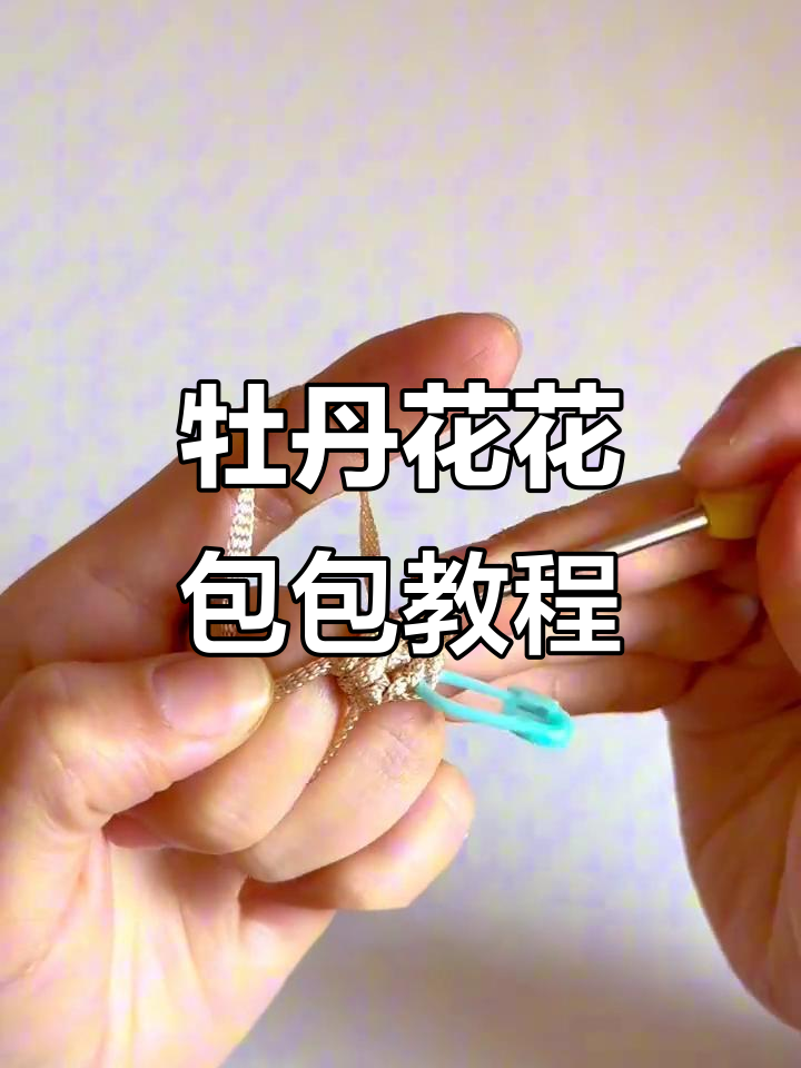 双面牡丹花手提包编织教程,零基础也能学会