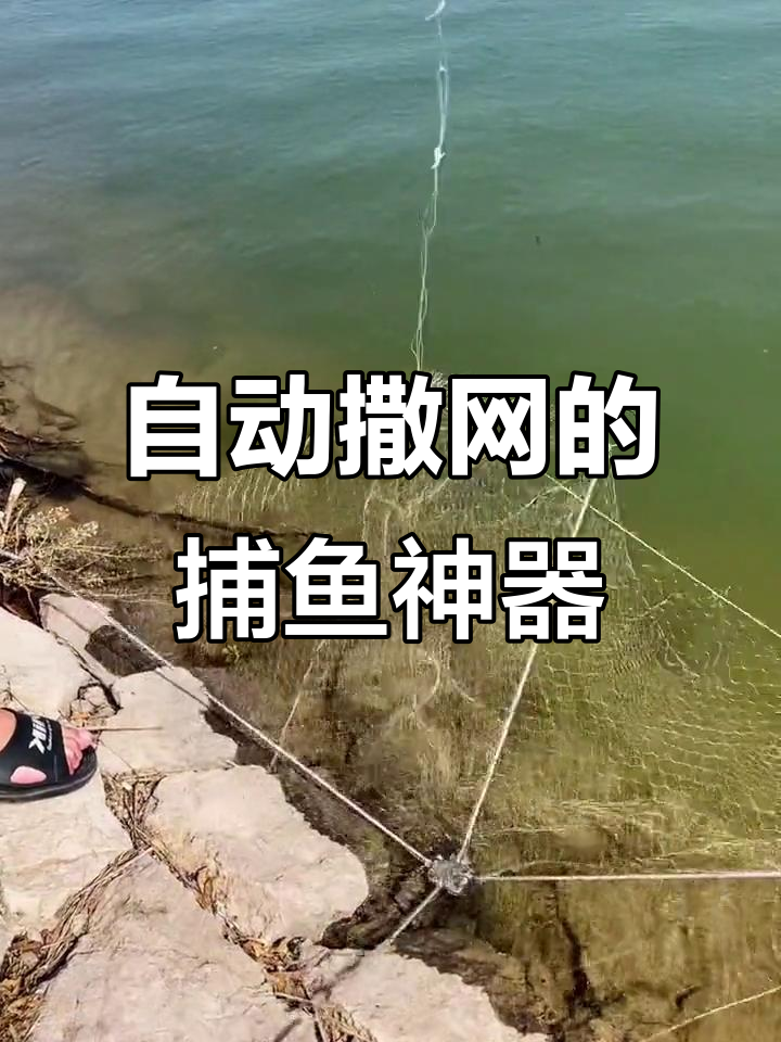 俄罗斯新型捕鱼网,自动打开收鱼更轻松
