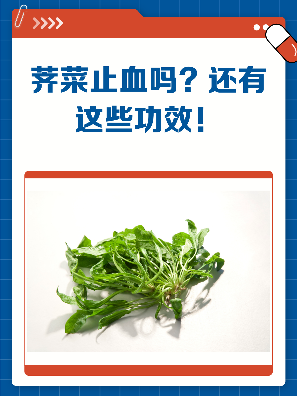 吃荠菜真的能止血吗?揭秘它的神奇功效!