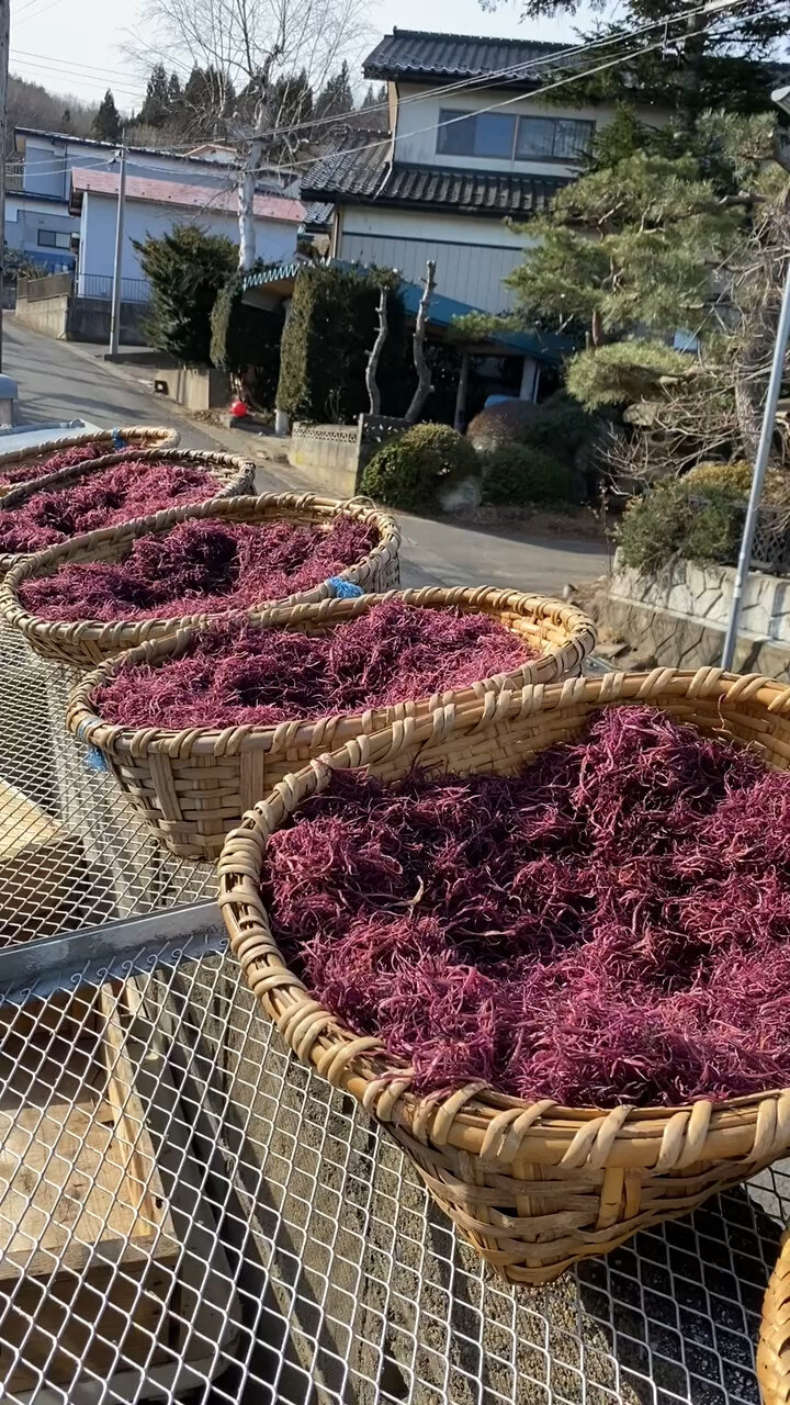 新鲜的牛毛菜,日本全国邮寄,增强免疫力好吃