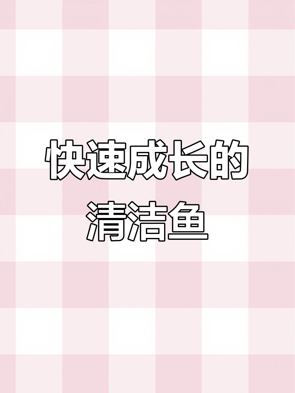 软骨鲟龙鱼,以藻类和浮游生物为食,生长迅速