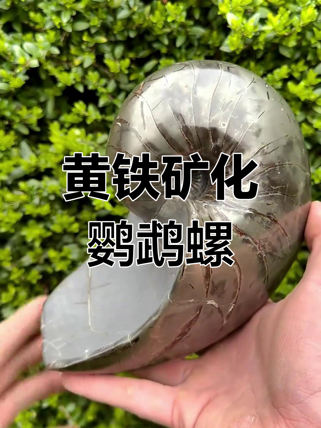 五谷杂粮米糊,营养丰富又好喝,早餐必备!