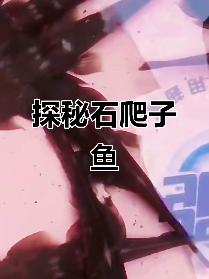 石爬子鱼:一种独特的水中生物,探索它的生活习性