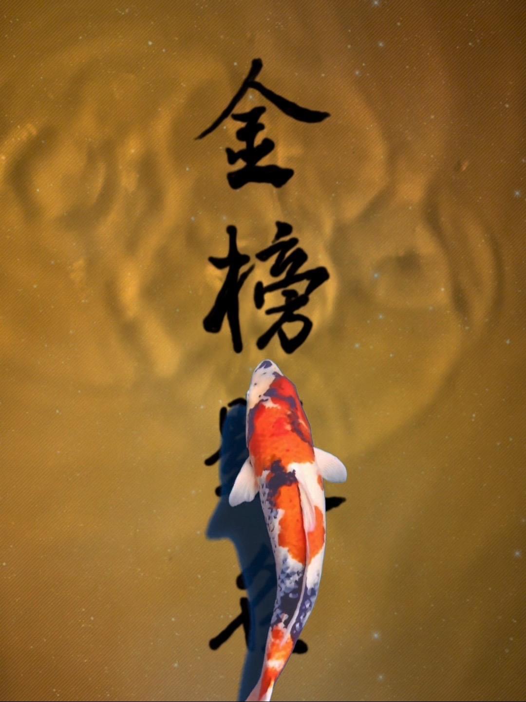 祝愿所有的莘莘学子们:金榜题名,鱼跃龙门!抖音美好微光集 抖音插画大赛