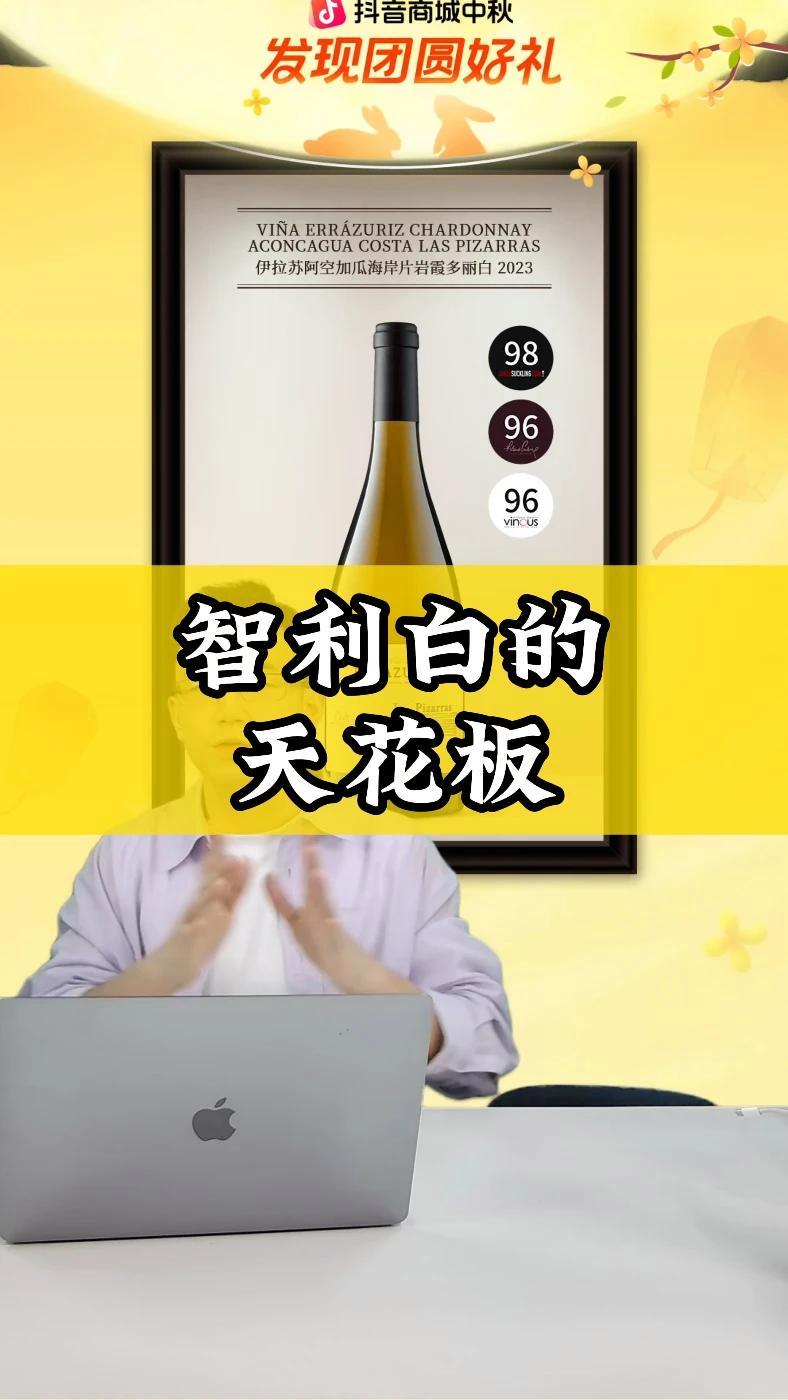 智利白的天花板 葡萄酒 白葡萄酒 智利