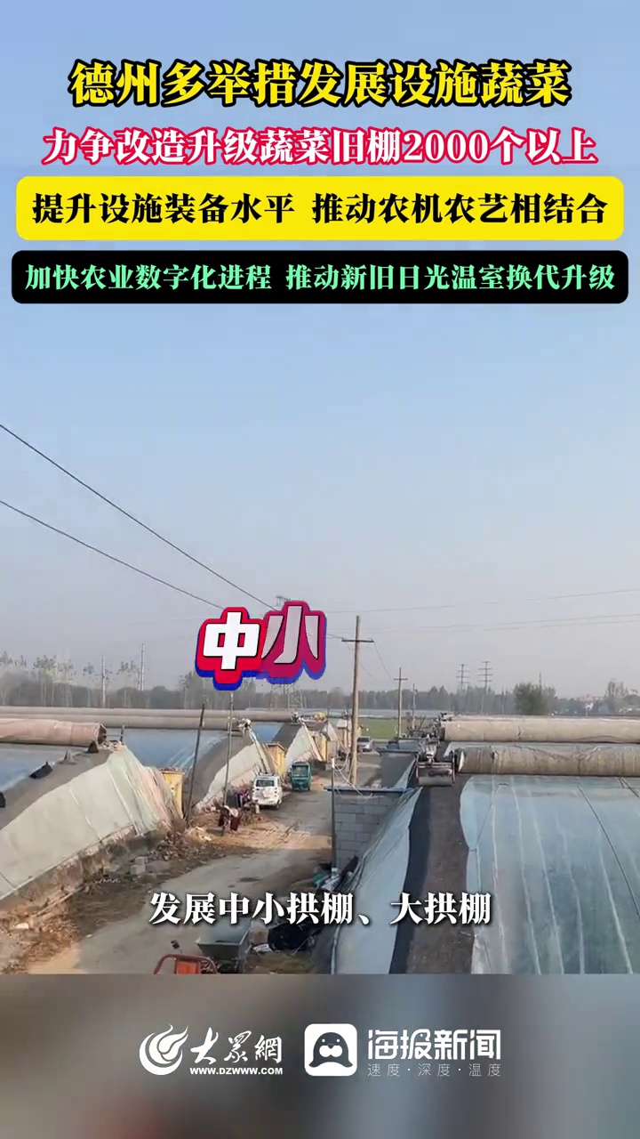 政声速递丨德州多举措发展设施蔬菜,力争改造升级蔬菜旧棚2000个以上,提升设施装备水平 推