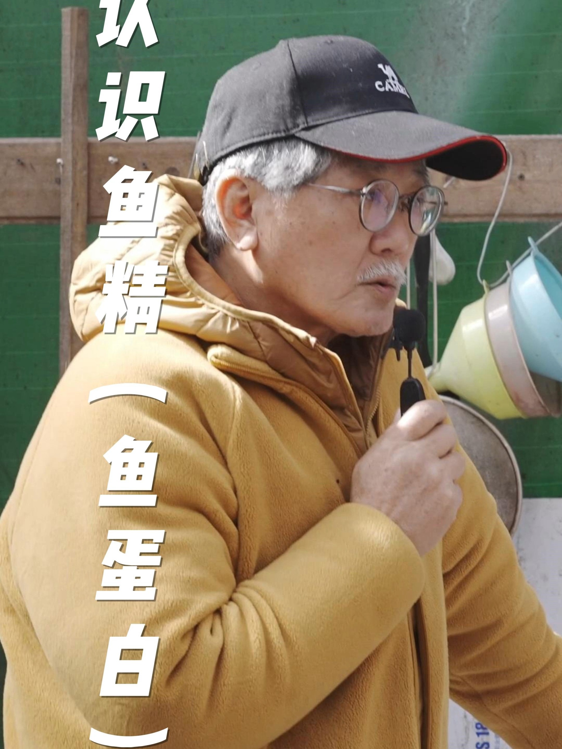 认识鱼精(鱼蛋白)