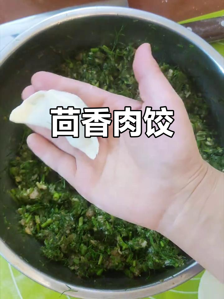 茴香猪肉馅饺子,鲜嫩多汁又清爽!