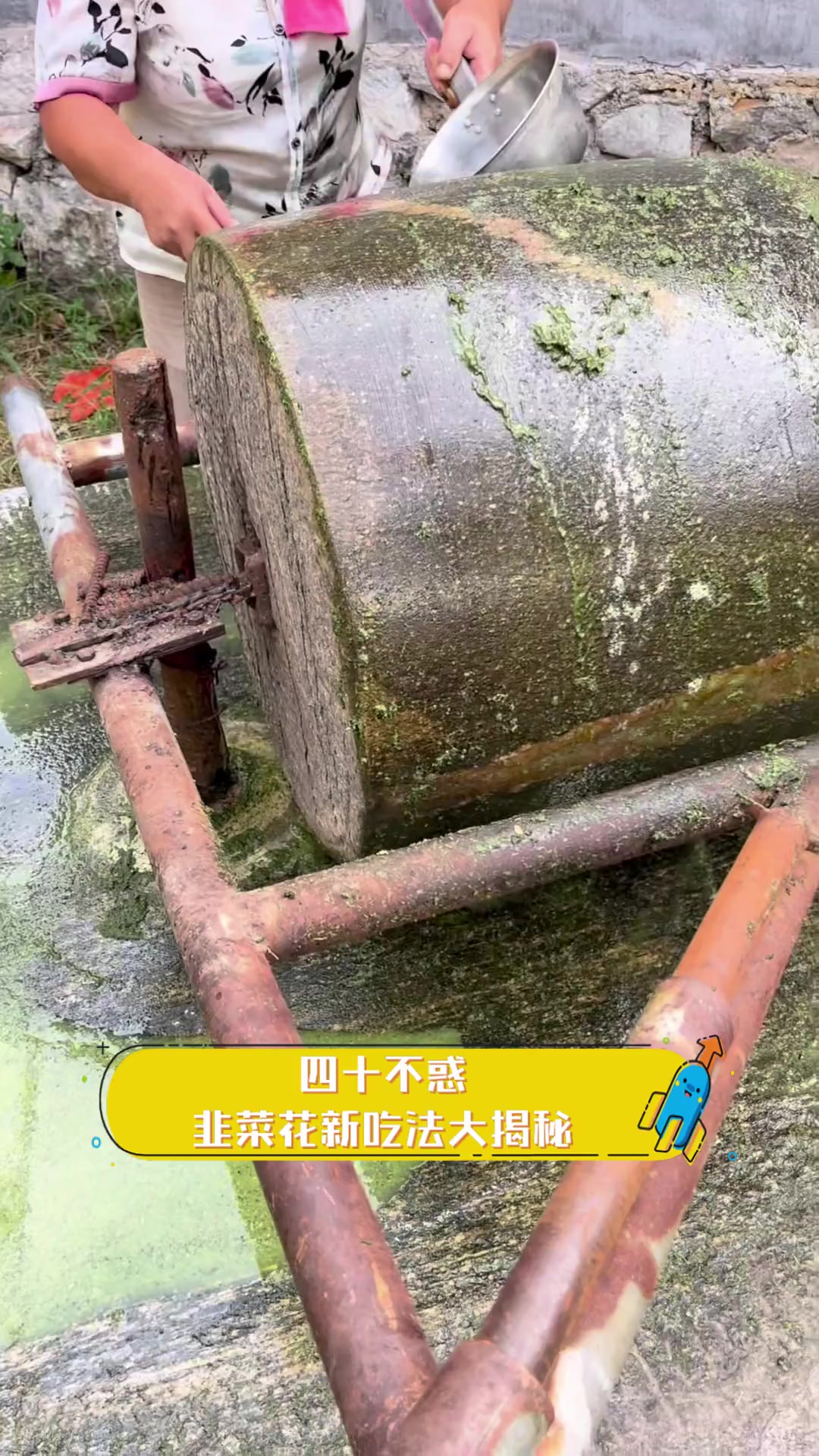 四十不惑,韭菜花新吃法大揭秘