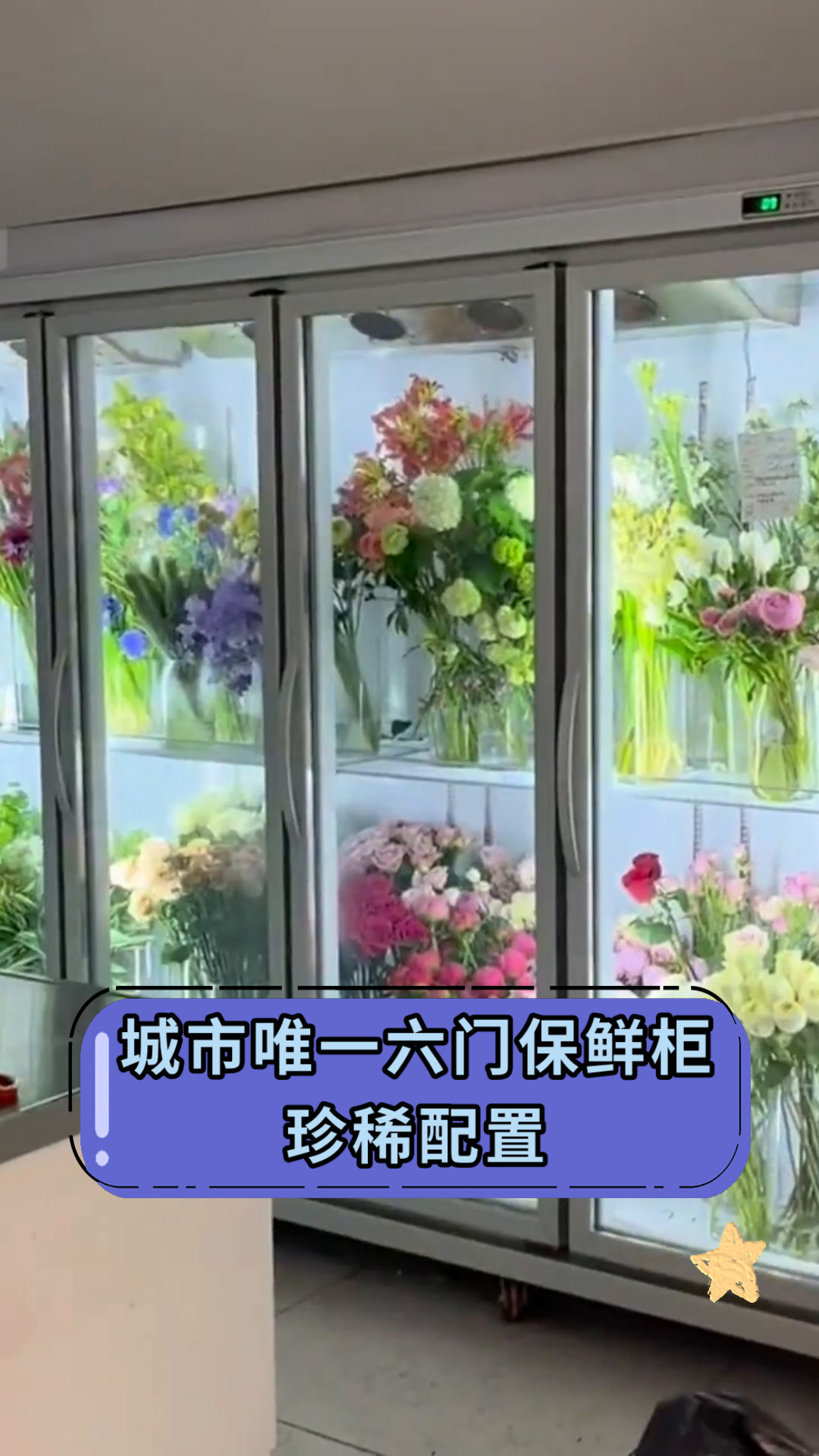 城市唯一六门保鲜柜珍稀配置