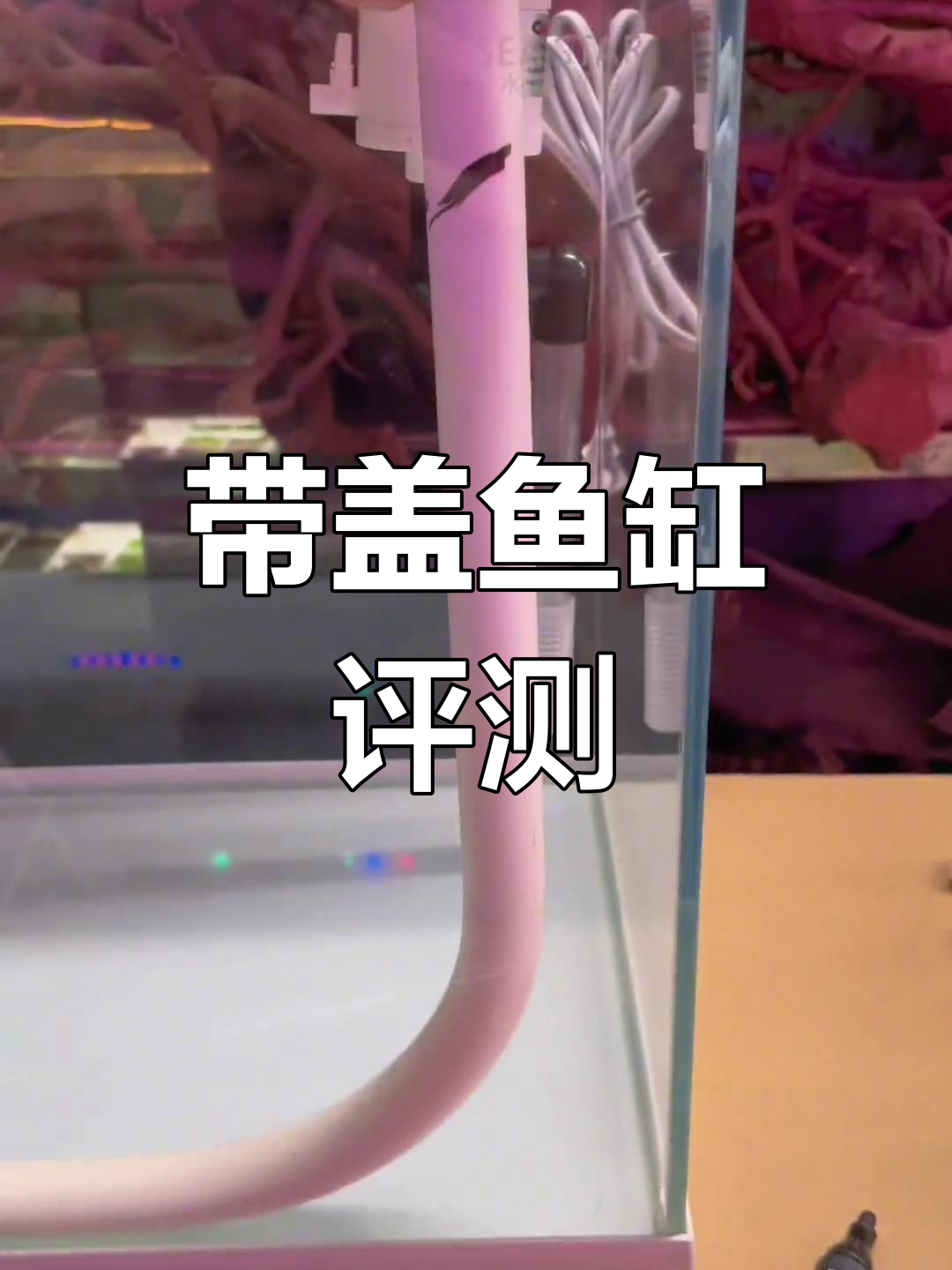 带盖鱼缸优缺点实测:流沙瀑布造景测试