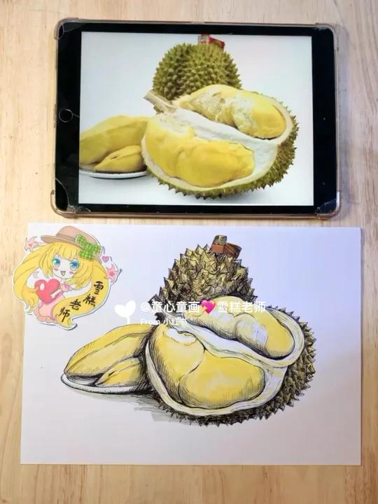 马克笔照片拟写生榴莲