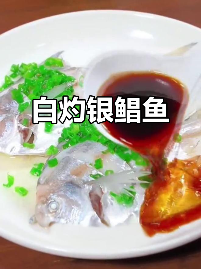 简单又好吃的白灼银鲳鱼,家常做法鲜香十足