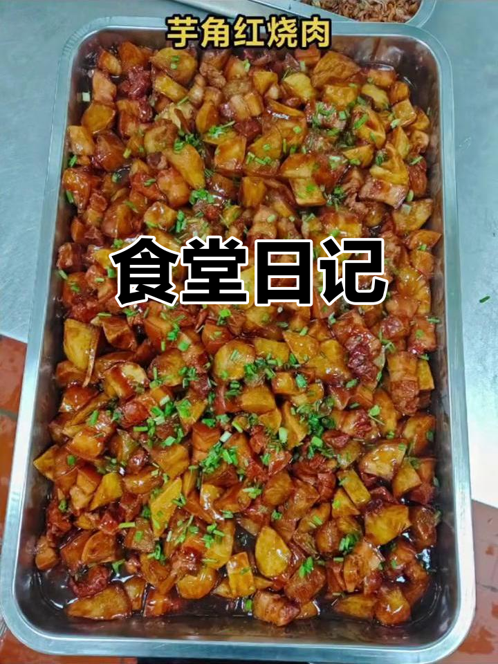 食堂日常:饭菜与心情的碰撞