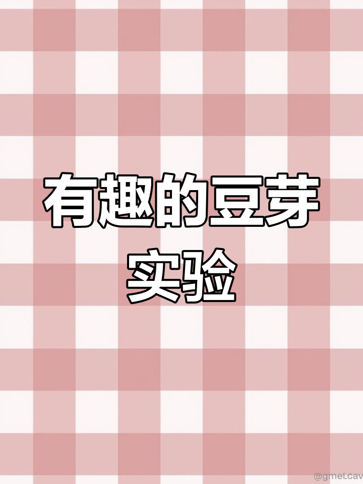 小班科学:豆芽的奇妙之旅,探索自然生长奥秘