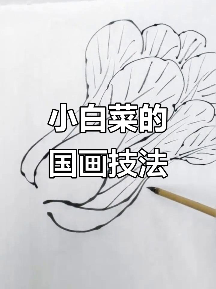 跟朱朱老师学国画:小白菜绘制技巧全解析
