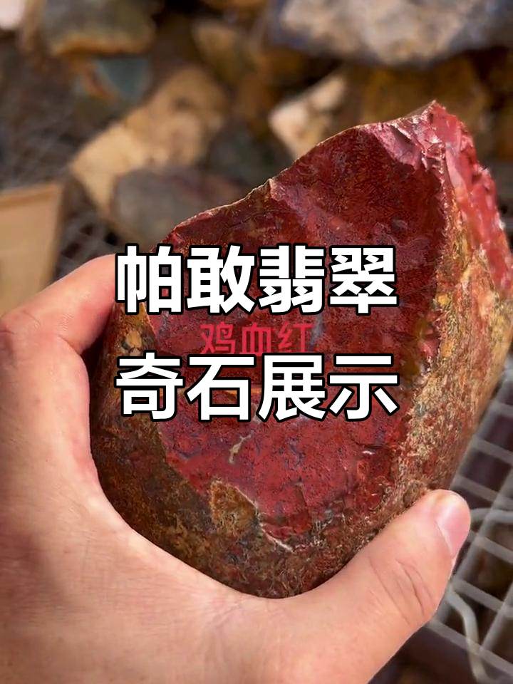 缅甸帕敢矿区天然翡翠原石,纯血红带麦穗种大料揭秘