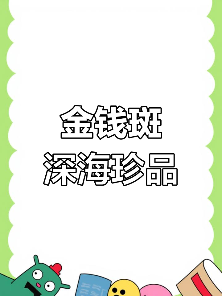 稀有石斑鱼:金钱斑的独特魅力与美味