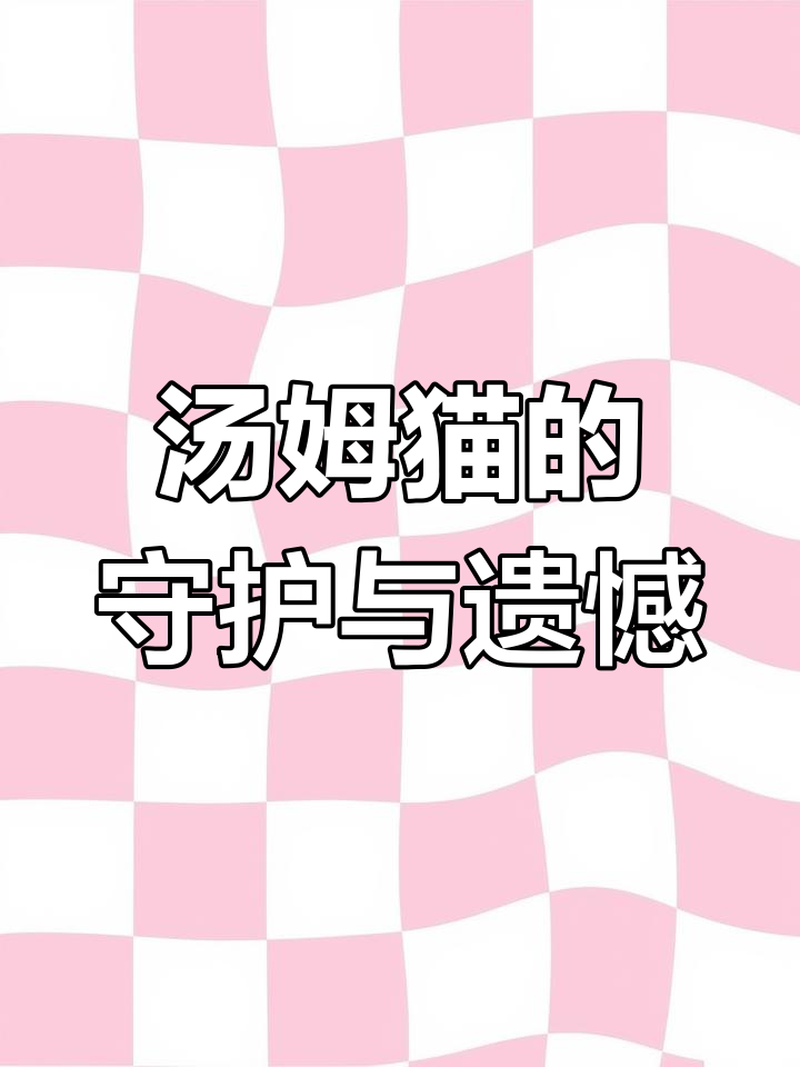 汤姆猫为何抓不住杰瑞?直到临终才明白它的苦心