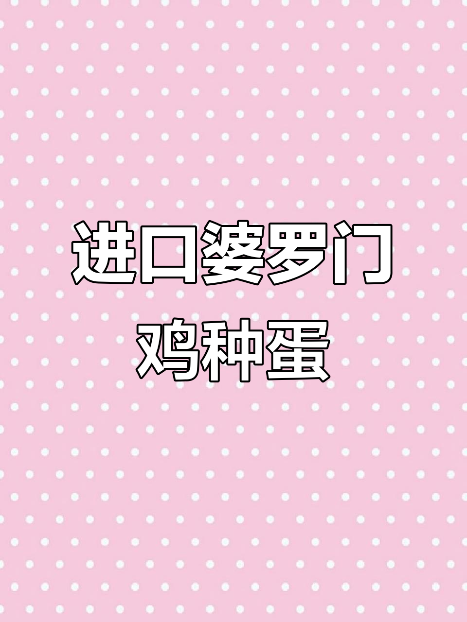 灰底大红袍婆罗门鸡,进口种蛋价格实惠