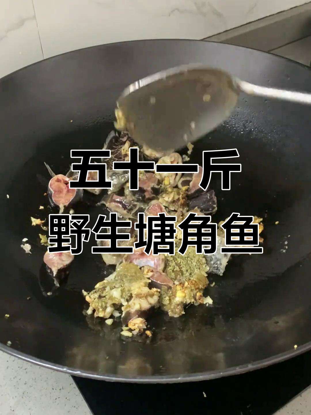野生塘角鱼,五十一斤超值美味!