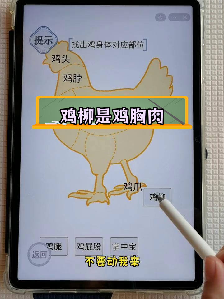 鸡柳到底是哪块肉?